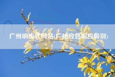 广州响应式网站(广州应急响应级别)