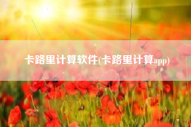 卡路里计算软件(卡路里计算app)