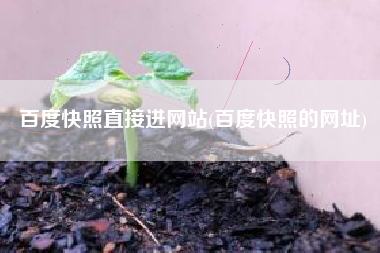 百度快照直接进网站(百度快照的网址)