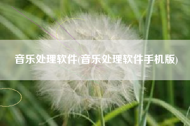 音乐处理软件(音乐处理软件手机版)