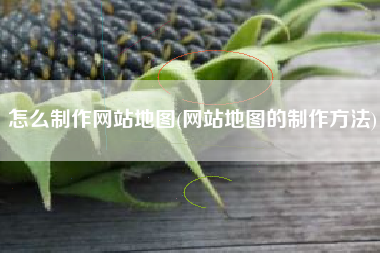 怎么制作网站地图(网站地图的制作方法)