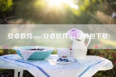 安卓软件app(安卓软件apk安装包下载)