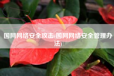 国网网络安全攻击(国网网络安全管理办法)