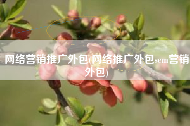 网络营销推广外包(网络推广外包sem营销外包)