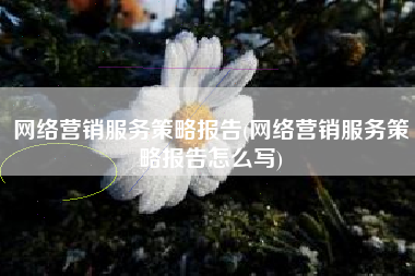 网络营销服务策略报告(网络营销服务策略报告怎么写)
