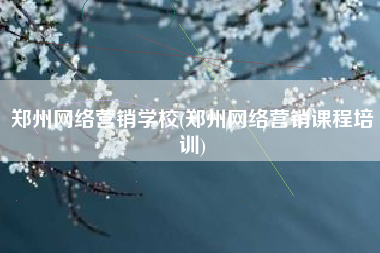 郑州网络营销学校(郑州网络营销课程培训)
