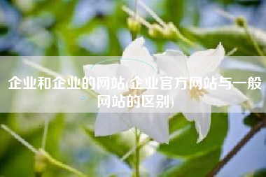 企业和企业的网站(企业官方网站与一般网站的区别)