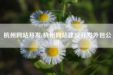 杭州网站开发(杭州网站建设开发外包公司)