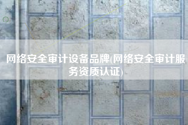 网络安全审计设备品牌(网络安全审计服务资质认证)