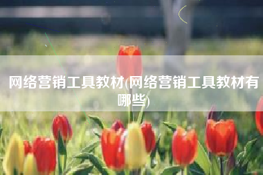 网络营销工具教材(网络营销工具教材有哪些)