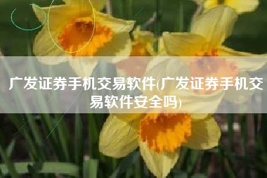 广发证券手机交易软件(广发证券手机交易软件安全吗)