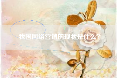 我国网络营销的现状是什么？