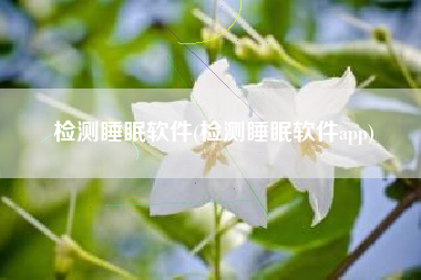 检测睡眠软件(检测睡眠软件app)