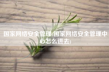 国家网络安全管理(国家网络安全管理中心怎么进去)