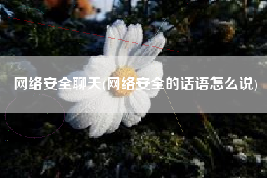 网络安全聊天(网络安全的话语怎么说)