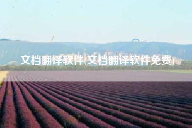 文档翻译软件(文档翻译软件免费)