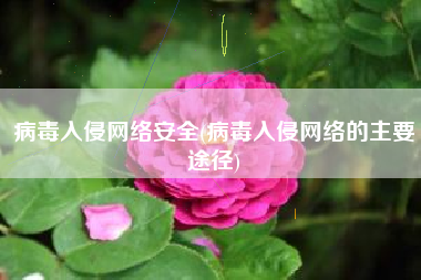 病毒入侵网络安全(病毒入侵网络的主要途径)