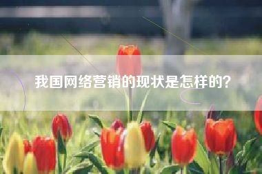 我国网络营销的现状是怎样的？