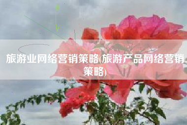 旅游业网络营销策略(旅游产品网络营销策略)