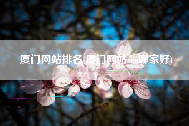 厦门网站排名(厦门网站seo哪家好)