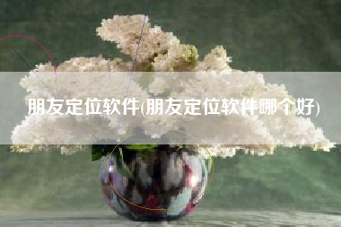 朋友定位软件(朋友定位软件哪个好)