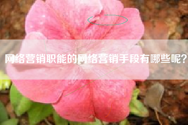 网络营销职能的网络营销手段有哪些呢？