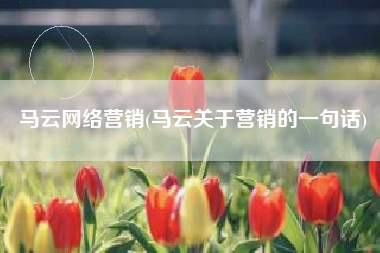 马云网络营销(马云关于营销的一句话)
