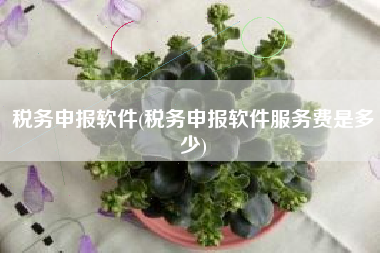 税务申报软件(税务申报软件服务费是多少)