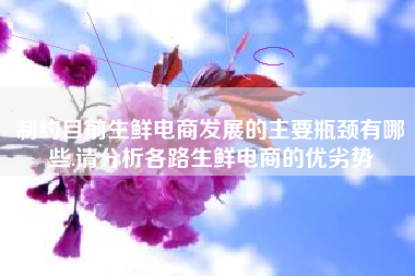 制约目前生鲜电商发展的主要瓶颈有哪些.请分析各路生鲜电商的优劣势
