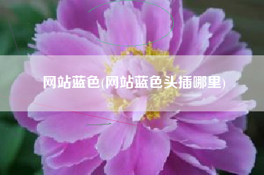 网站蓝色(网站蓝色头插哪里)