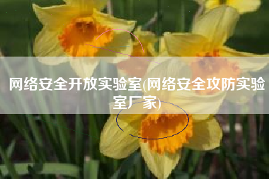 网络安全开放实验室(网络安全攻防实验室厂家)
