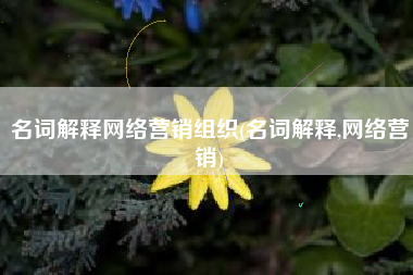 名词解释网络营销组织(名词解释,网络营销)