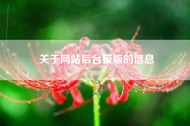 关于网站后台模版的信息
