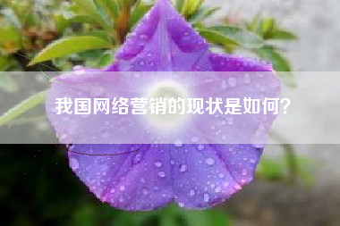 我国网络营销的现状是如何？