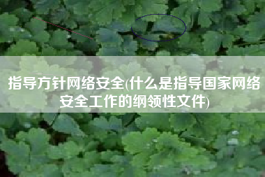 指导方针网络安全(什么是指导国家网络安全工作的纲领性文件)