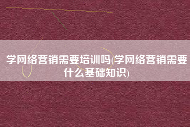 学网络营销需要培训吗(学网络营销需要什么基础知识)