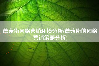 蘑菇街网络营销环境分析(蘑菇街的网络营销策略分析)