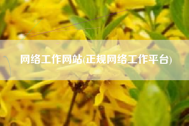 网络工作网站(正规网络工作平台)