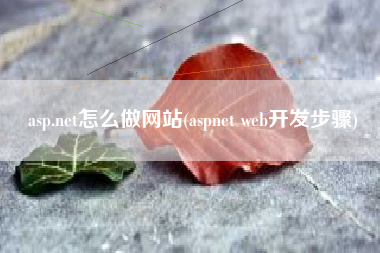 asp.net怎么做网站(aspnet web开发步骤)