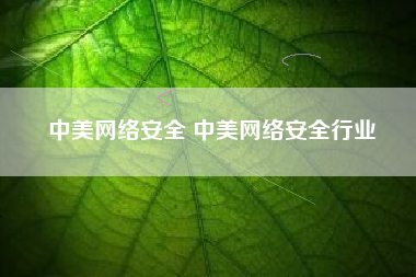 中美网络安全 中美网络安全行业