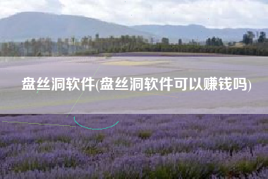盘丝洞软件(盘丝洞软件可以赚钱吗)