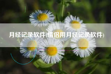 月经记录软件(情侣用月经记录软件)