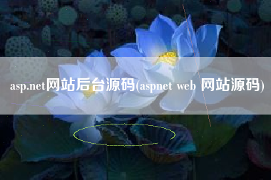 asp.net网站后台源码(aspnet web 网站源码)