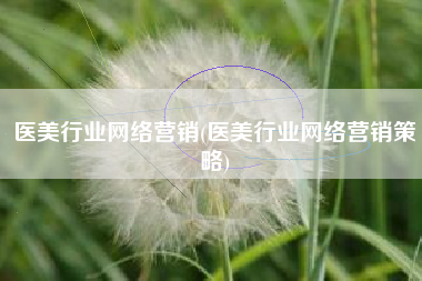 医美行业网络营销(医美行业网络营销策略)