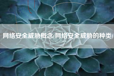 网络安全威胁概念(网络安全威胁的种类)