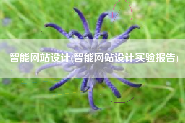 智能网站设计(智能网站设计实验报告)