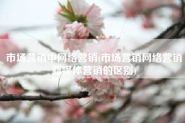市场营销中网络营销(市场营销网络营销新媒体营销的区别)