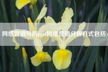 网络营销分析ppt(网络营销分析方式包括)