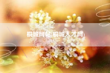 桐城网站(桐城人才网)