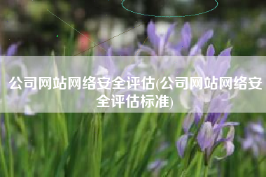 公司网站网络安全评估(公司网站网络安全评估标准)